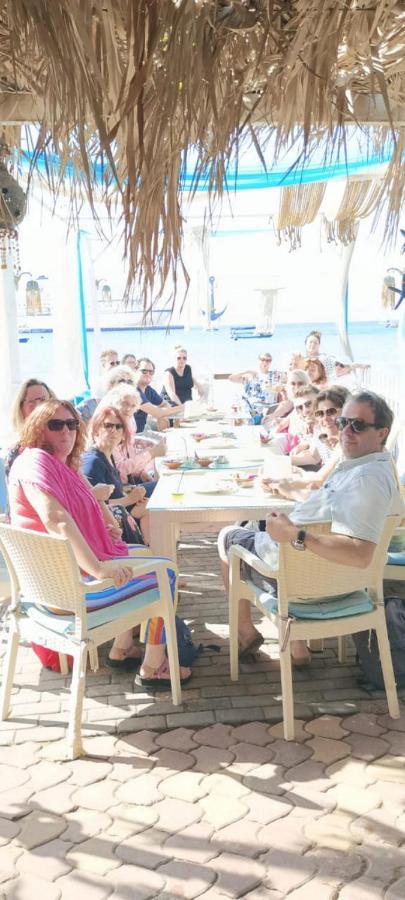 Al-Amer Chalets Άκαμπα Εξωτερικό φωτογραφία